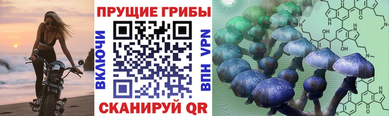 Галлюциногенные грибы мухоморы Иваново